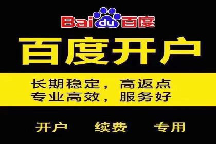 百度优化推广案例剖析：某电商平台的成功之路
