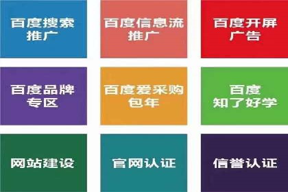 百度竞价推广在电商领域的赚钱案例